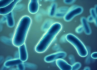 pseudomonas-media-and-tests